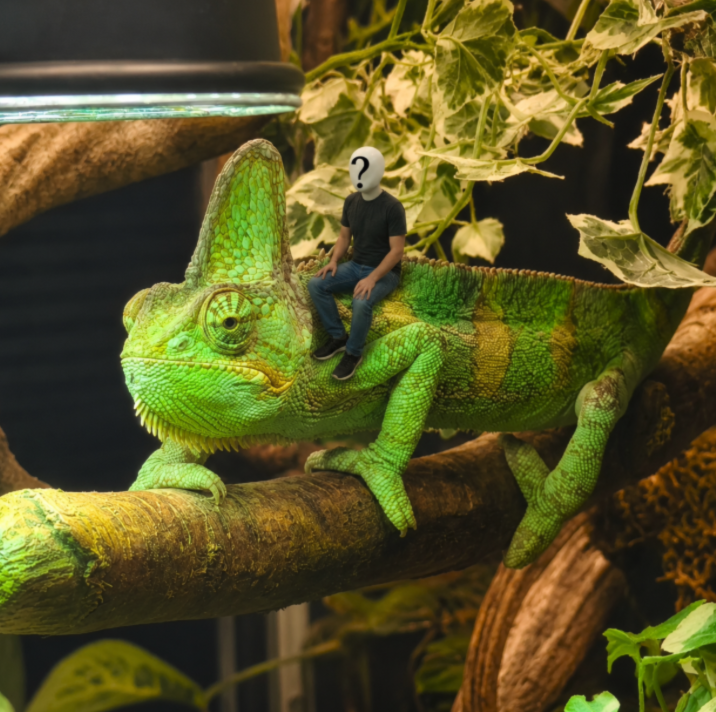 Tiny Human on Giant Iguana